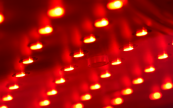 LED Red Light Therapy